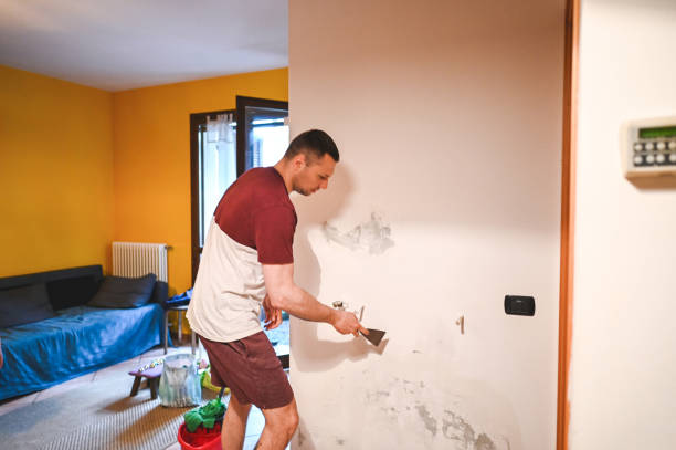 Best Home Mold Removal  in Pocono Springs, PA